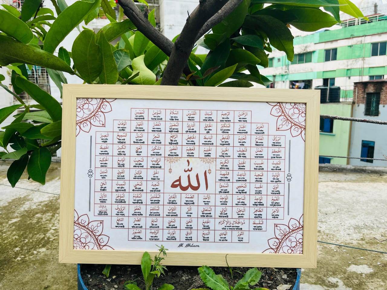 WhatsApp Image 2025-09-26 at 00.48.00_ae4864cc