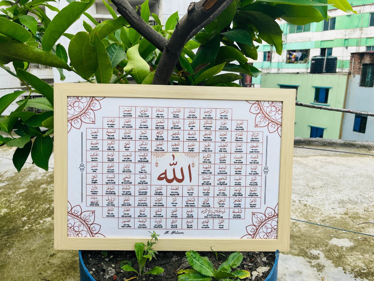 WhatsApp Image 2025-09-26 at 00.48.00_e764c376